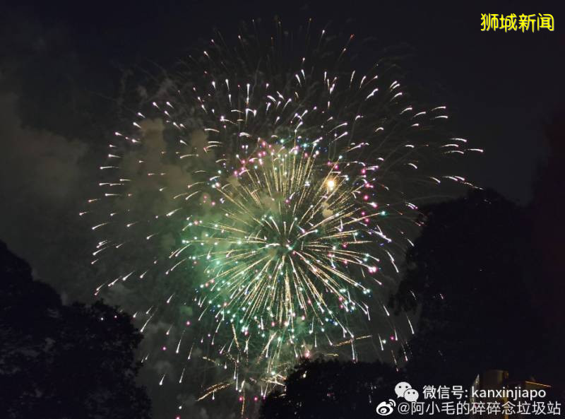 疫情籠罩2020新加坡國慶,絢爛煙花全島怒放,祈禱平安,瘟疫退散