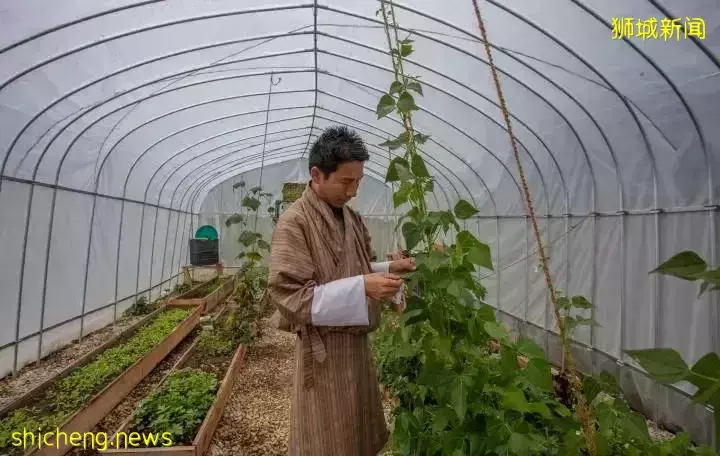 “一国两住”、NFT与元宇宙,看酒店业者如何打造后疫情体验