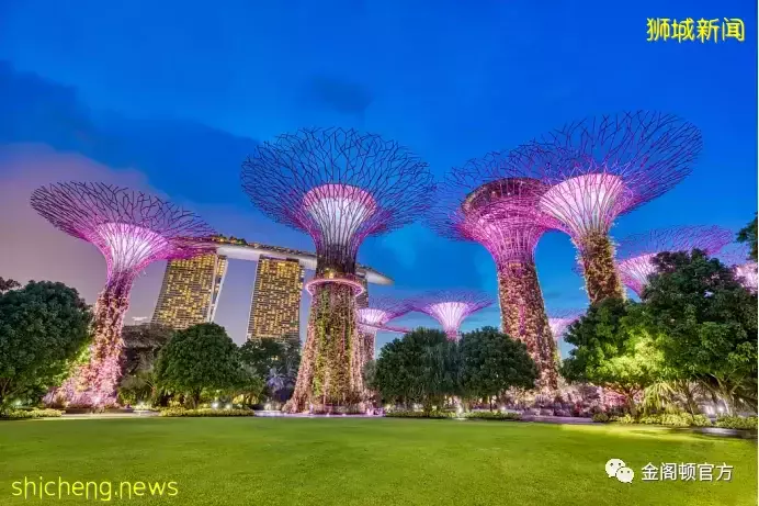 什麽是新加坡全球/區域總部計劃?全球/區域總部計劃申請要求