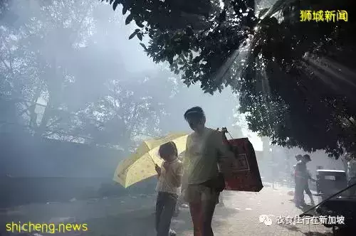 新加坡竟然有这些节日，网友：真少见，有些我都不知道