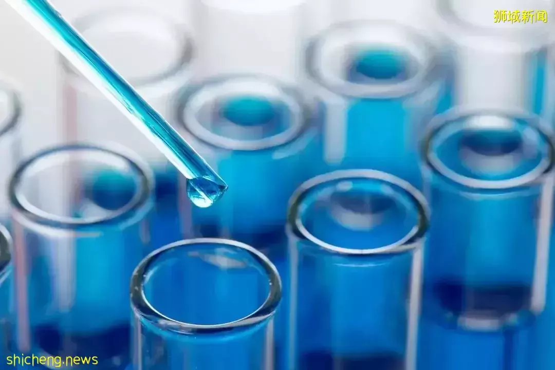 23Fall提前批申请通道开放！新国大理学院硕士全面招生中