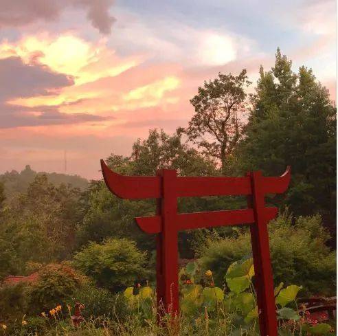 周末假裝出國遊——新加坡最具異國風情的小衆景點推薦！安排