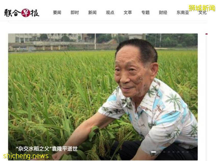 聯合國發文緬懷袁隆平！新加坡等多國媒體發文評論：留下世界性遺産