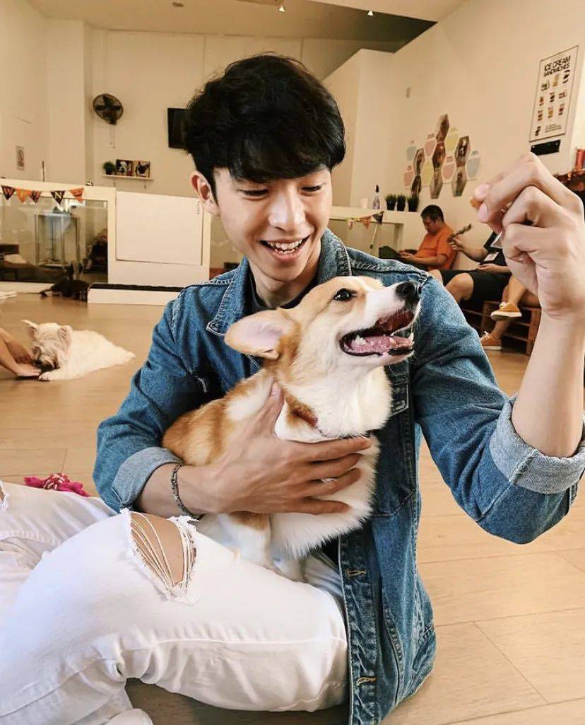 治愈系的它看一眼就愛不釋手！新加坡撸貓撸狗地圖來咯