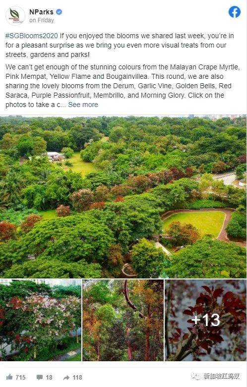 北半球9月刚入秋,新加坡却迎来“第二春”