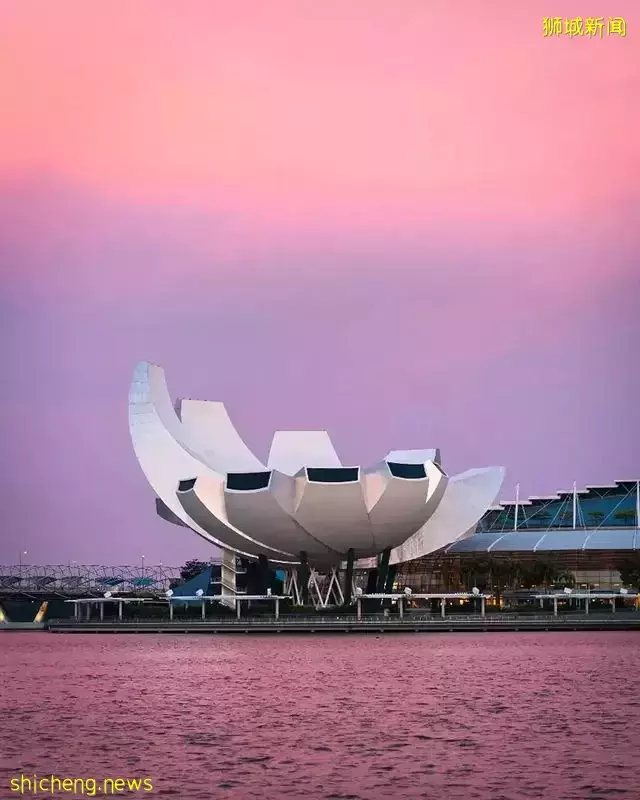 ARTSCIENCE MUSEUM新增限时电影院，最近还有免费电影可以看哦