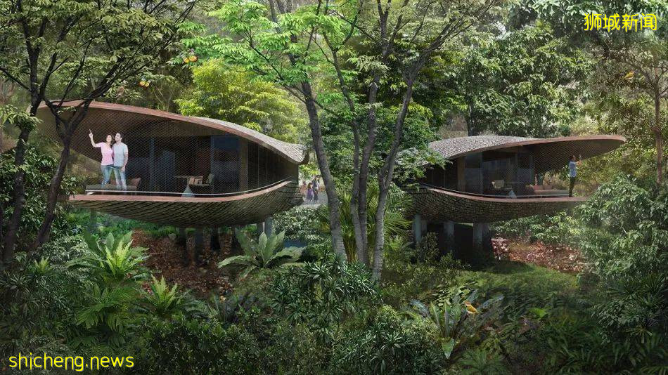 新加坡野生动物保育集团改名为“万态保育集团”,河川生态园和飞禽公园也有了新名字