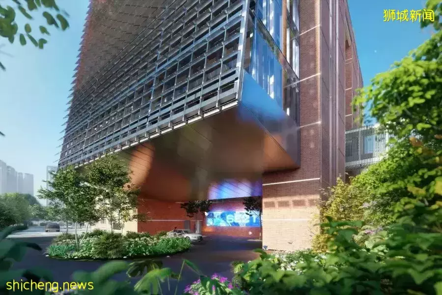 新加坡IB成績放榜 國際學生如何規劃選擇合適的國際學校呢