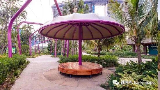 【下周活动】新加坡动物园门票75折+5新币餐券!A&F清仓半价