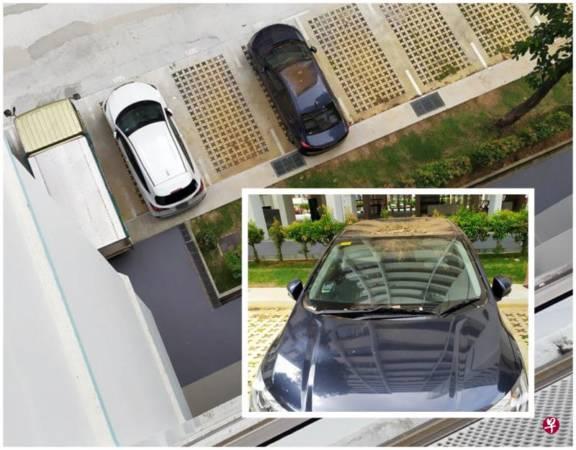 高楼抛盆栽砸车 车主上网要找目击者