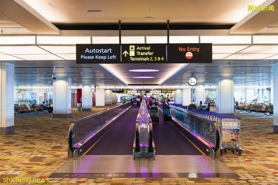 抗疫“模範生”新加坡近期哪裏出錯了?Privilege怎麽說沒就沒了