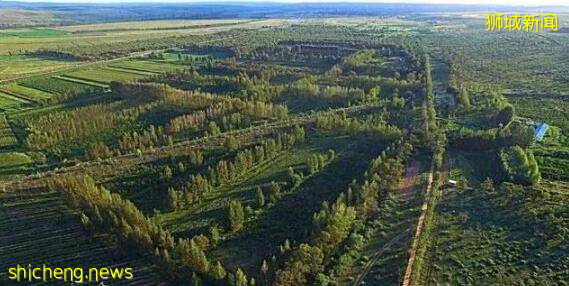 螞蟻森林爲世界環境日發聲，新加坡居然“躺”中槍!