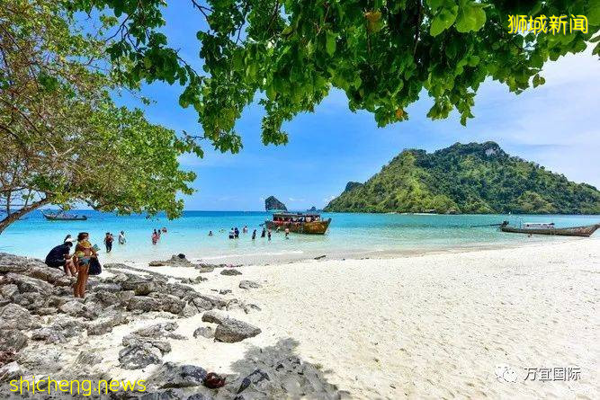 新加坡銀行開戶近期爲何如此火爆！新加坡三大銀行介紹