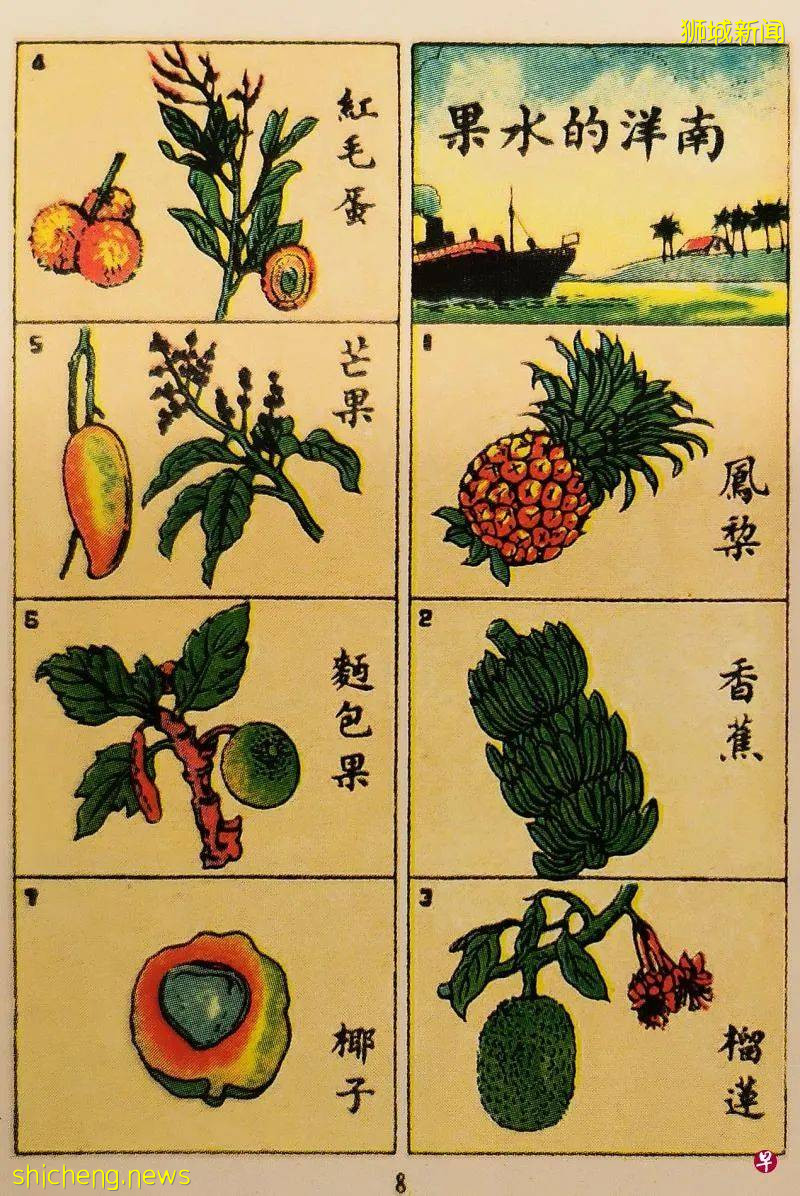 有“三保公大便”之稱的榴梿，緣何成南洋華人集體記憶