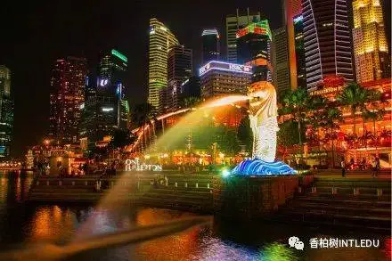 很多父母都想了解的新加坡教育