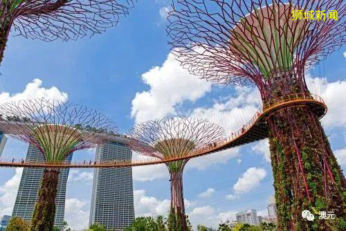 新加坡官宣:對澳大利亞旅客集中隔離