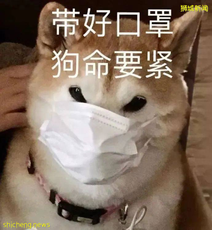 “我媽確診了，我和妹妹都沒被感染！”居家隔離“幸存”經驗分享