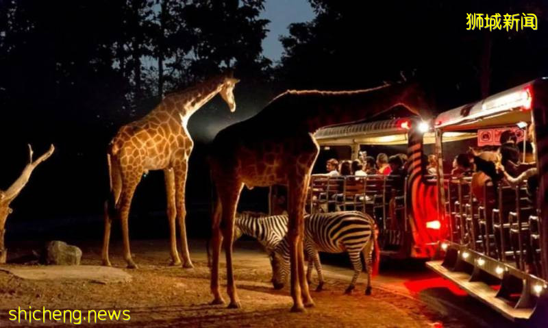 你可能不知道的,關于新加坡的12個有趣事實!