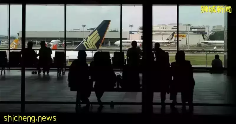 狮城往返航班少单程票价破4万 　中国游子叹想要也订不到