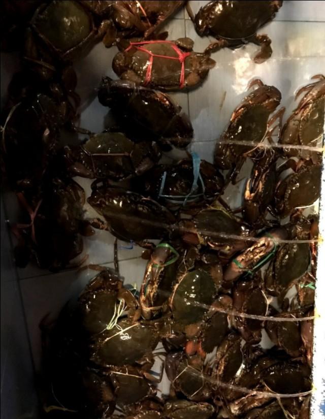 新加坡自由行(八)