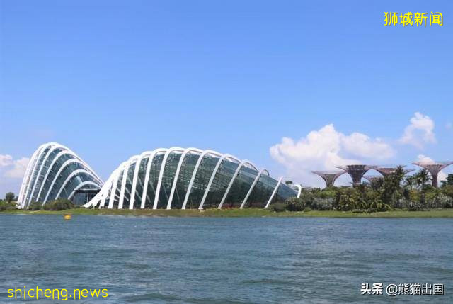 新加坡移民政策最新2020，当下最受青睐的移民新加坡的方式