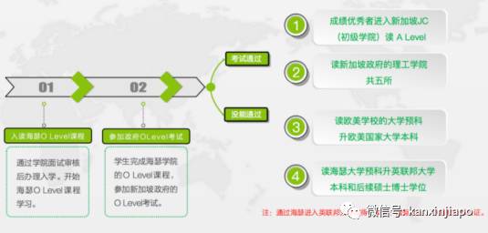 如何成功進入新加坡政府中小學 後續升學路徑解析!新加坡學曆提升必讀