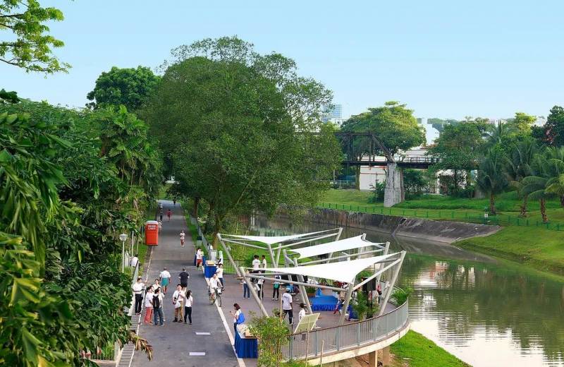 觀鳥、陡坡、嬉水、看夕陽,13條新加坡最美親子騎行路線