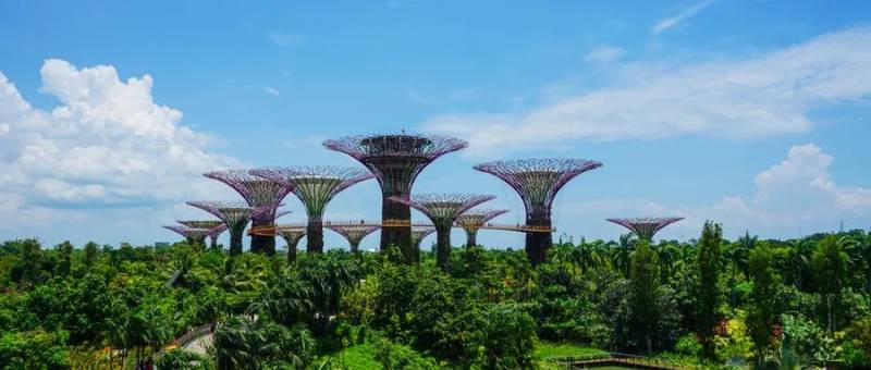 新加坡留学生入学必看攻略