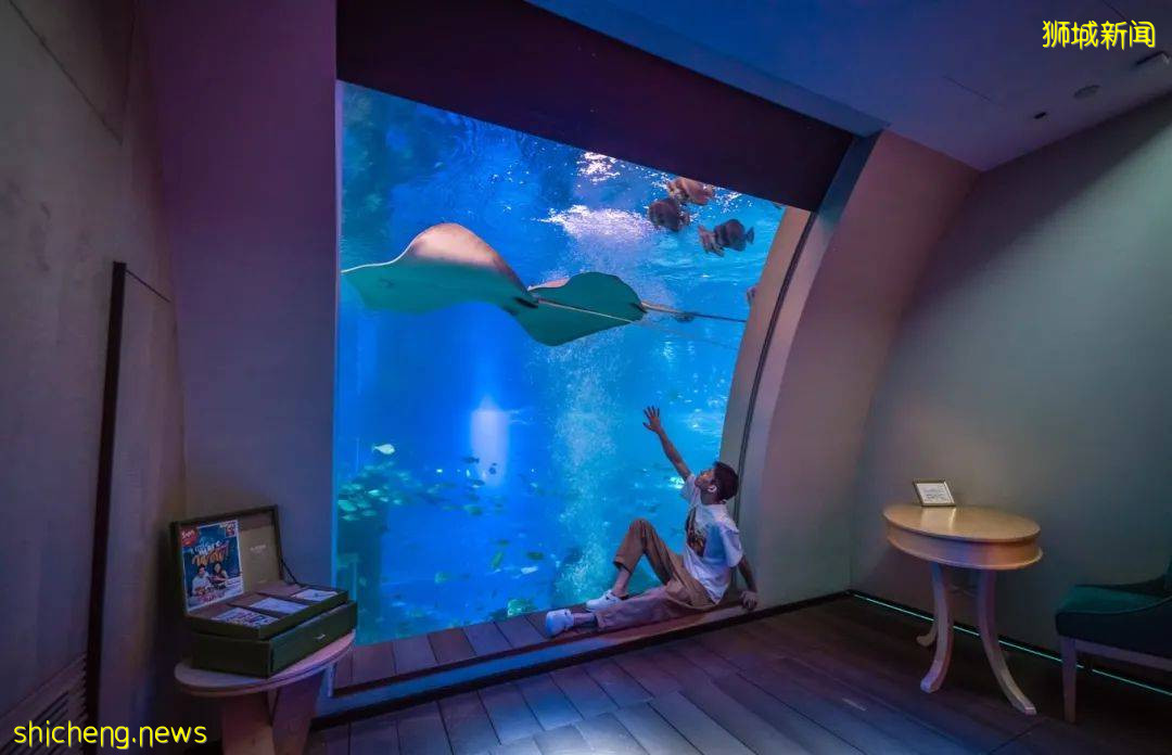 遊獅城 上天入海,多的是你不知道的新奇體驗