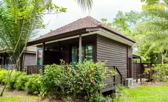 下水抓蛙、摘菜摸鱼、开土摩托……我带娃体验了一把新加坡的农家乐