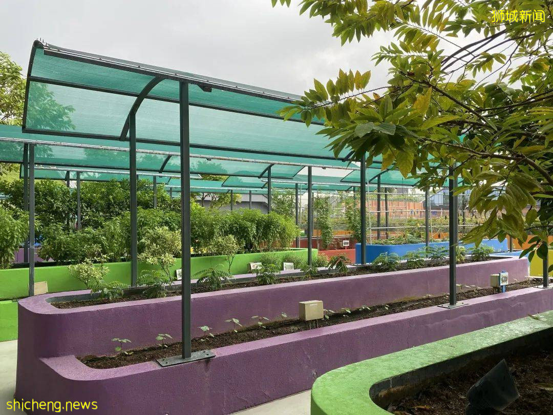 李顯龍總理打Call的超級大商城！開業就5000人擠爆，內附吃喝玩樂攻略