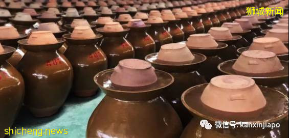 等了6年，風靡中國的網紅酸菜魚終于來新加坡了