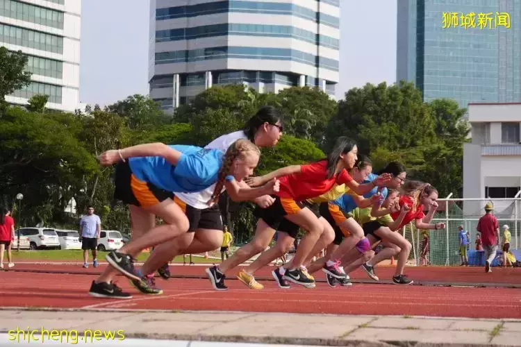 史上最強攻略!在新加坡如何選學校?國際學校vs政府學校,哪個好