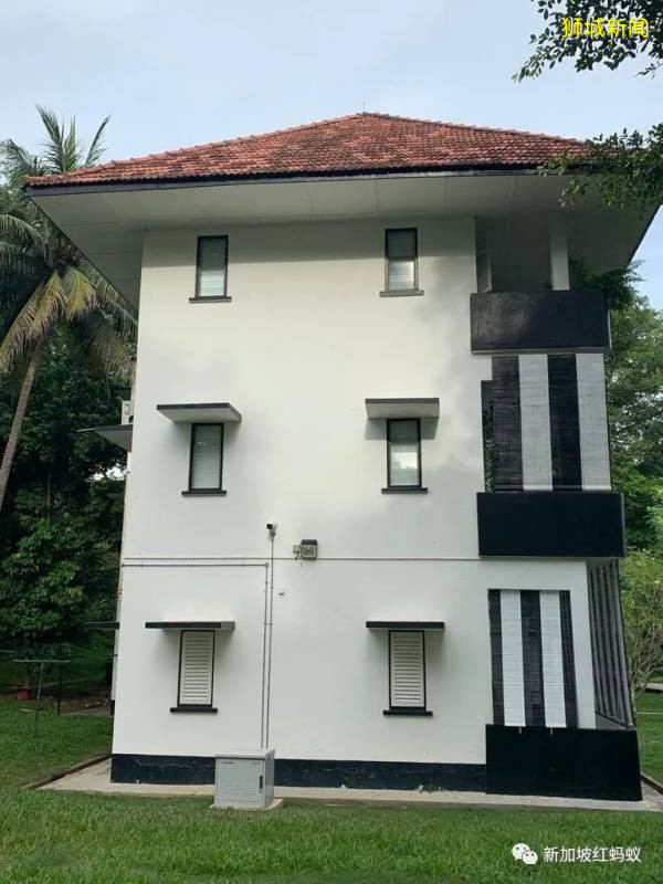 重新发现新加坡 东陵福有你未曾注意过的精彩