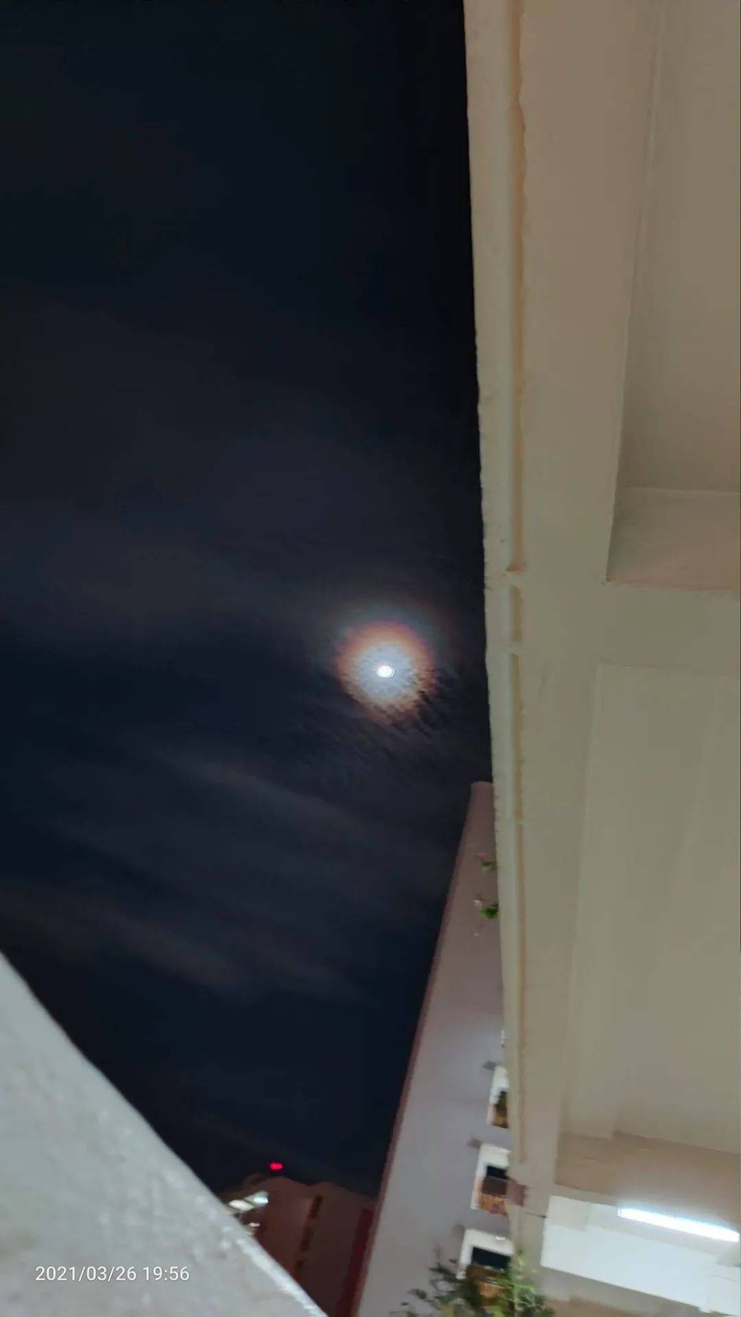 太美！新加坡驚現奇異彩虹月！全島人搶拍