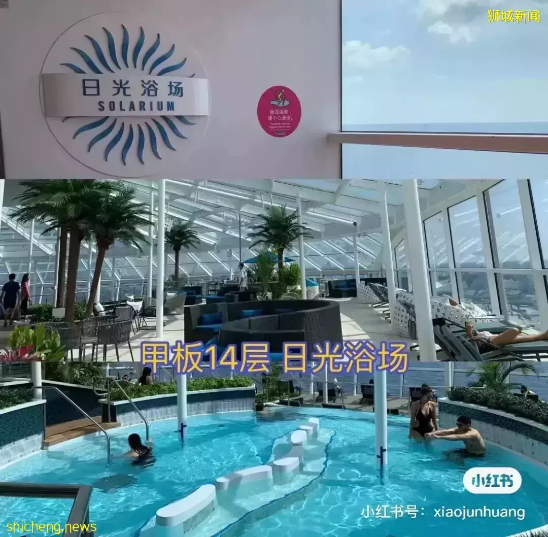 羡慕!一家四口5天4夜坐豪华邮轮免费,攀岩、冲浪、蹦极、跳伞,数不尽的美食和表演