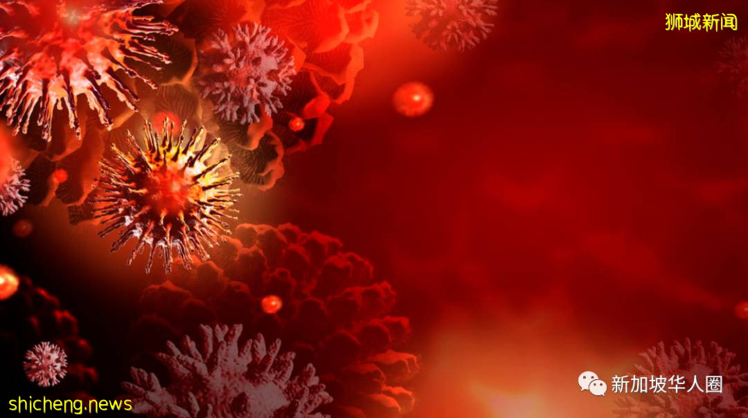 2909例!再8人死亡!新加坡客工宿舍大爆發,或比去年更嚴重