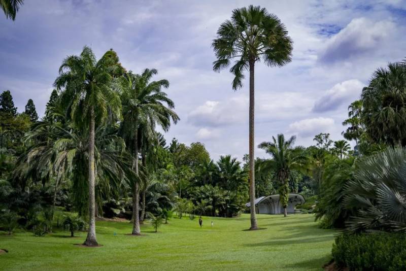 項目講解！新加坡移民