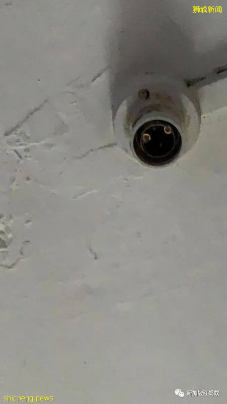 獅城患病母子住在破舊屋子　沒錢看醫生冰箱內全是黑色的東西!