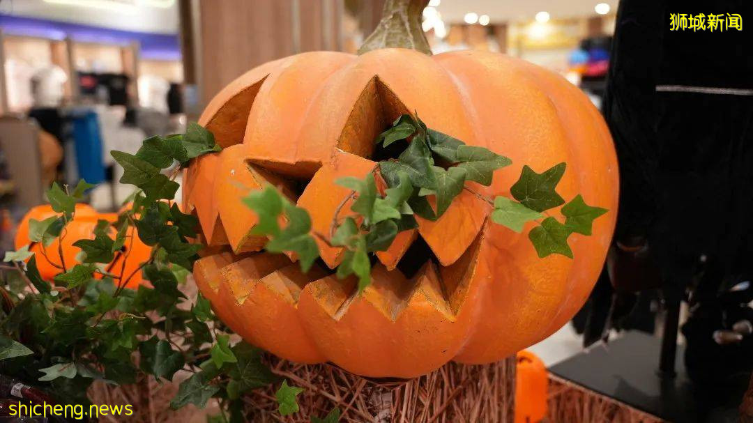 新加坡環球影城“關閉”？全部項目只等你