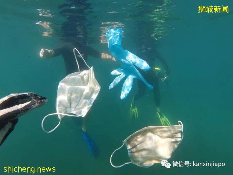 疫情期间乱丢口罩手套，严重污染了环境