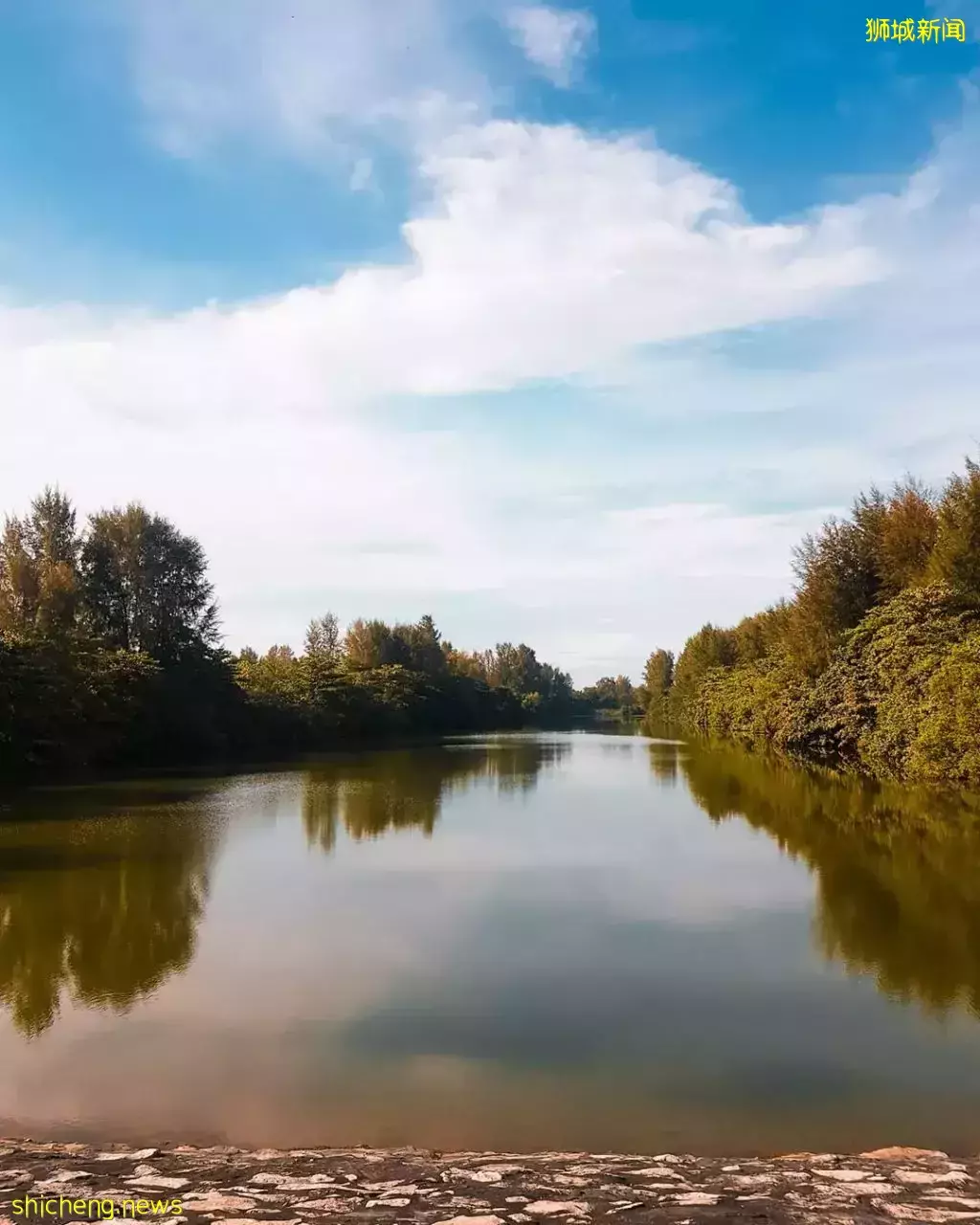 盘点新加坡异国风自然美景📷一分钱也不用花,带你在本地畅游世界😱OOTD美照拍起来