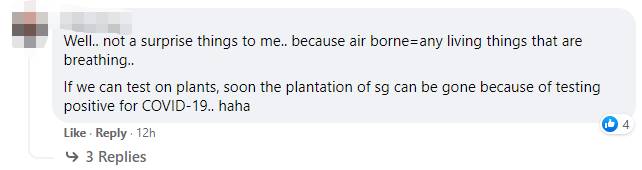 狮子4例!新加坡动物园首次出现“人传狮”感染