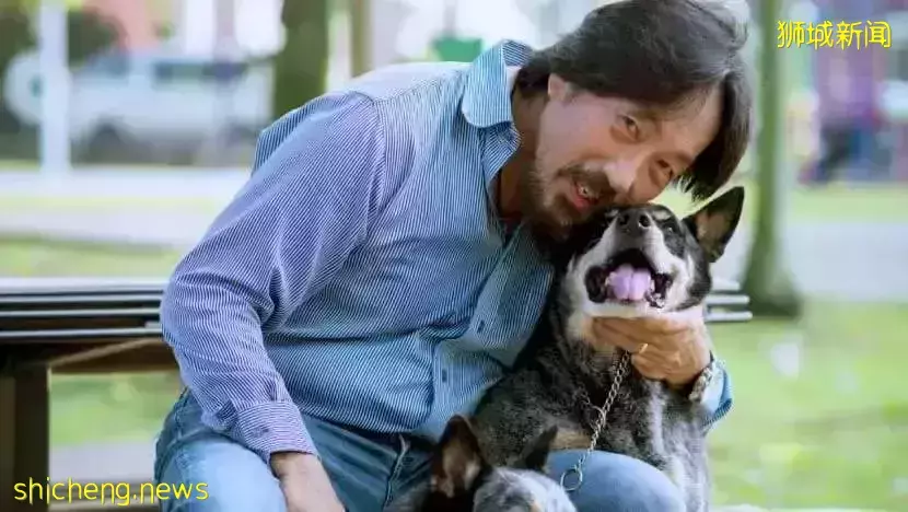 新加坡兴起宠物克隆风潮