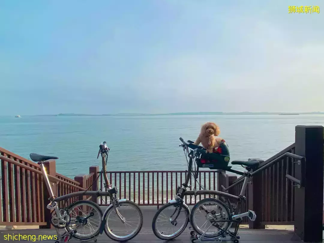 新加坡最新网红景点!风景绝美必打卡