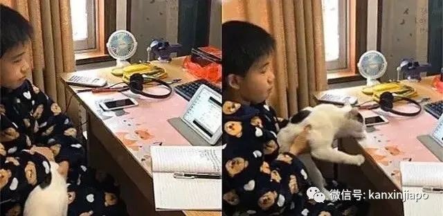 拯救孩子被疫情耽误的英语,到学习营边玩边学