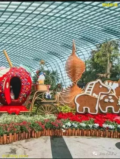 不容错过的圣诞全攻略,让你和家人一起渡过一个喜悦的节日