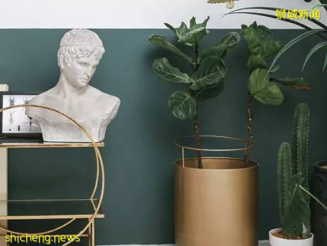 掌握这些细节,一键开启完美新加坡留学生活