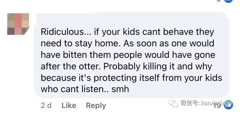 14只水獭在新加坡植物园被小孩们“追杀”,父母竟也加入战局