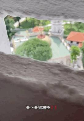 新加坡也有比萨斜塔?!小众打卡地推荐来了